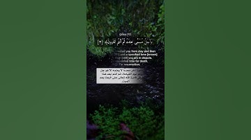 سورة الأنعام أحمد حمادي حالات واتس #الأنعام #احمد_حمادي #قرآن #حالات_واتس