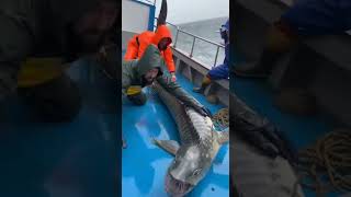 Creepy AI Creation: Fisherman Hauls Up Half-Human Deep Sea Monster (Fictional)
