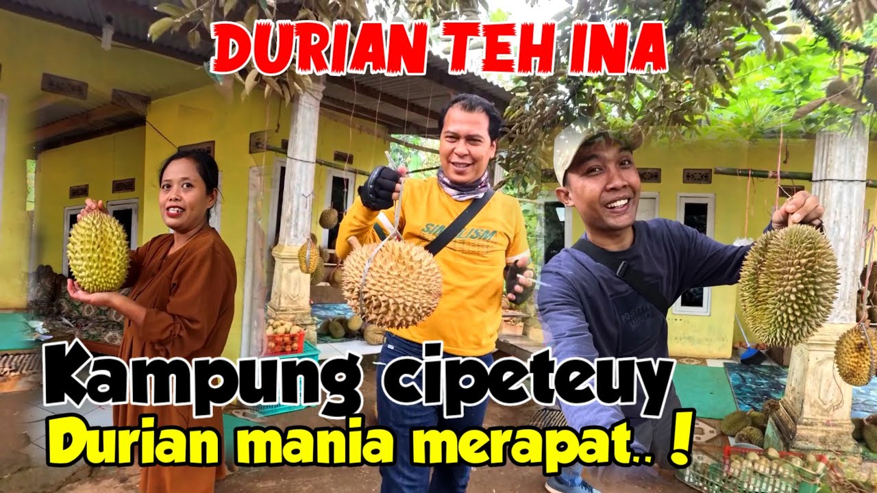 BERBURU DURIAN LOKAL KAMPUNG CIPETEUY jonggol RUMAH TEH INA WISATAWAN MULAI BERDATANGAN..!