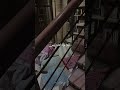 فمن اتبع هداي فلا يضل ولا يشقى عبدالله الموسى