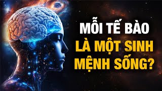 Mỗi người là một tiểu vũ trụ, mỗi tế bào là một sinh mệnh sống? |Ms. Ruby by Ms. Ruby 63,551 views 3 weeks ago 21 minutes