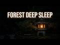 Cricket Sounds for Sleeping | Pine Forest Night Sounds | Black Screen Sleep Sounds, Zen Sleep Sounds