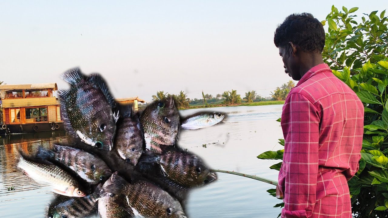 ചെറുതാണെങ്കിലും ചുണ്ടയിൽ കരിമീൻ കിട്ടിതുടങ്ങി