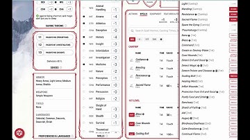 DNDbeyond manage video