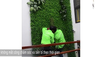 Hướng dẫn cách thi công tường cây giả của Lan Decor - tự làm dễ dàng sau 10 phút