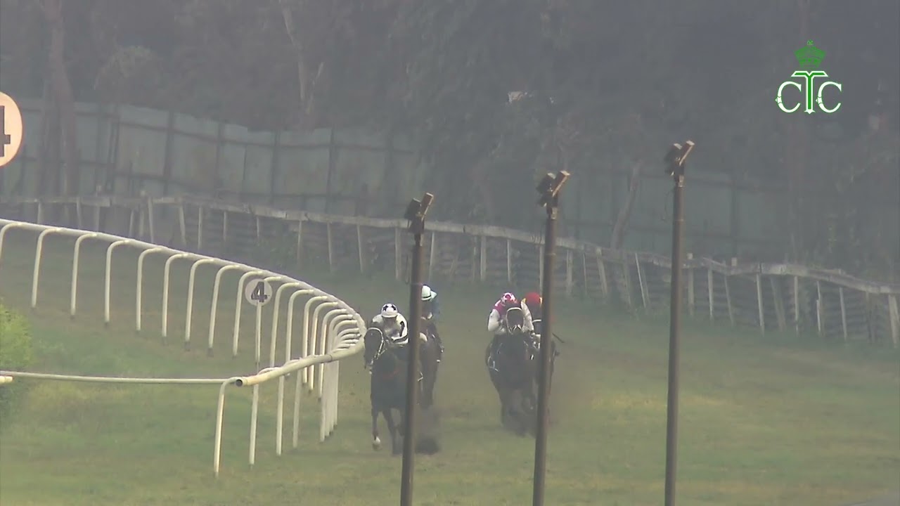 Заезд № 107, Кубок чемпиона Калькутты по спринту, группа III.