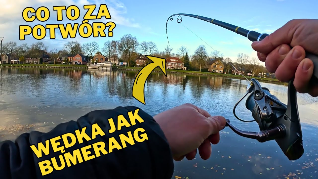 CO TO JEST ZA RYBA?! - OKOŃ, SZCZUPAK I SANDACZ - YouTube