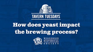 Tavern Tuesdays: Yeast