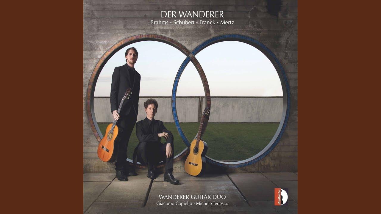 String Quartet No. 9 in G Minor, D. 173 (Arr. for Guitar Duo) : III. Menuetto. Allegro vivace -...