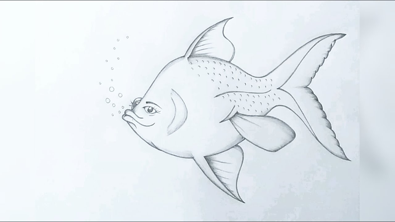 Tropical Fish Drawing In Pencil