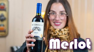 Merlot - Tudo sobre essa variedade de Uva e os Vinhos Merlot!