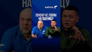 Использование пшеницы при ловле леща #рыбалка