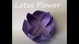 Origami Lotus Flower