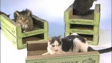 Worlds Best Cat Scratcher - Scratch Lounge