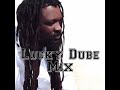 Reggae  lucky dube prisoner mix
