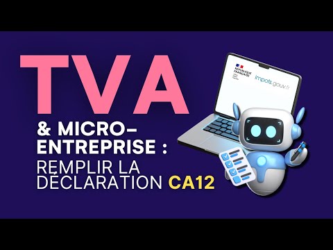 Micro-entreprise et régime réel simplifié : comment faire sa déclaration de TVA CA12 - video from SuperIndep