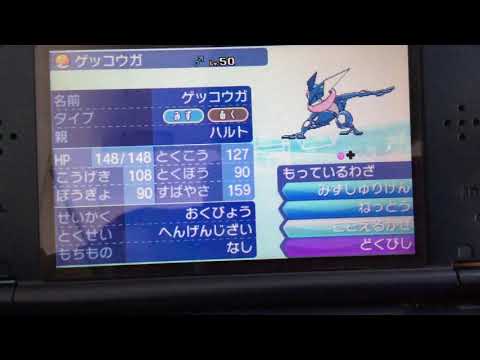 ポケモンUSM BOX紹介