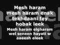 Enta eih Nancy Ajram whit lyrics.wmv