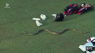Unexpected Visitor: 2 Snake 🐍Joins LPL Match, Accreditation Card Questioned