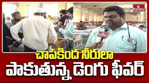 హైదరాబాద్ లో చాపకింద నీరులా పాకుతున్న డెంగు ఫీవర్ | Pakka Hyderabad | hmtv