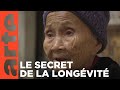 Chine : ils ont tué les immortels | ARTE Reportage