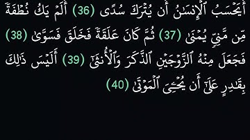 (75) سورة القيامة مكتوبة كاملة بخط واضح بدون صوت للقراءة والحفظ