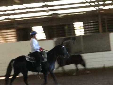 Gaited horse lesson with Diane Sept