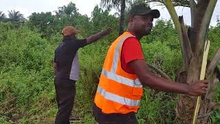 People selling  Lands with issue in Liberia