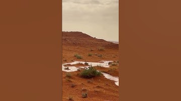 سورة الكهف القارئ الشيخ سعود الفايز #قران_كريم