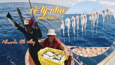 Cá ngân nổi quá tay, bơi thúng ra câu cá chịu ăn không | Đánh cá 2024 - Tập 96 | Sóng biển Hứa Đông