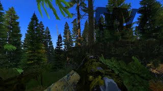 Solo Online Raiding a Forest Sanctuary! DayZ