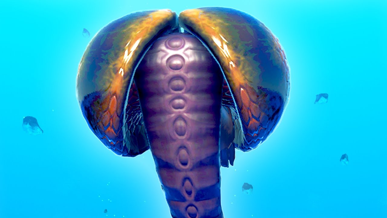 This Actually Exists. - No Mans Sky (Beyond)