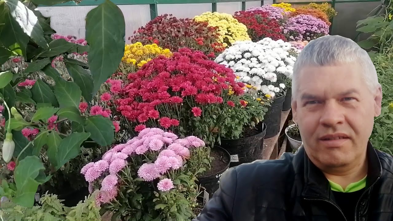 Как мы сохраняем цветы в зиму. - YouTube