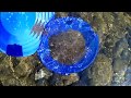 Devon Gold Prospecting April 2017 - part 2