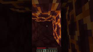 A LOOOOONG WAY TO KILL WARDEN!!! Idea:  @lexaoriginall    #minecraft #memes #minecraftmeme #gaming