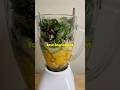 Delicious 4 Ingredient Super Green Smoothie!