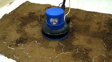 This Rug Was Hidden Under Layers of Mud – See the 40-Minute Transformation! - Carpet Cleaning