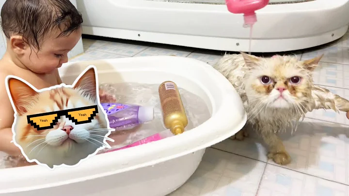 Watch the video about 👼🏻Baby & Cat Cause Chaos in the Bathtub | You Won’t Believe What Happened in the Bathroom!👼🏻