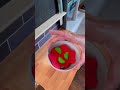 Let's Plate a Sandwich for Lunch!