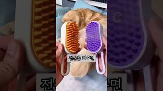 해외에서 난리난 강아지, 고양이 빗! 이걸로 종결 합니다