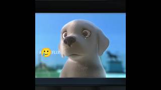 pip dog animated cartoon #believeinyourself #famous #nextgenai
