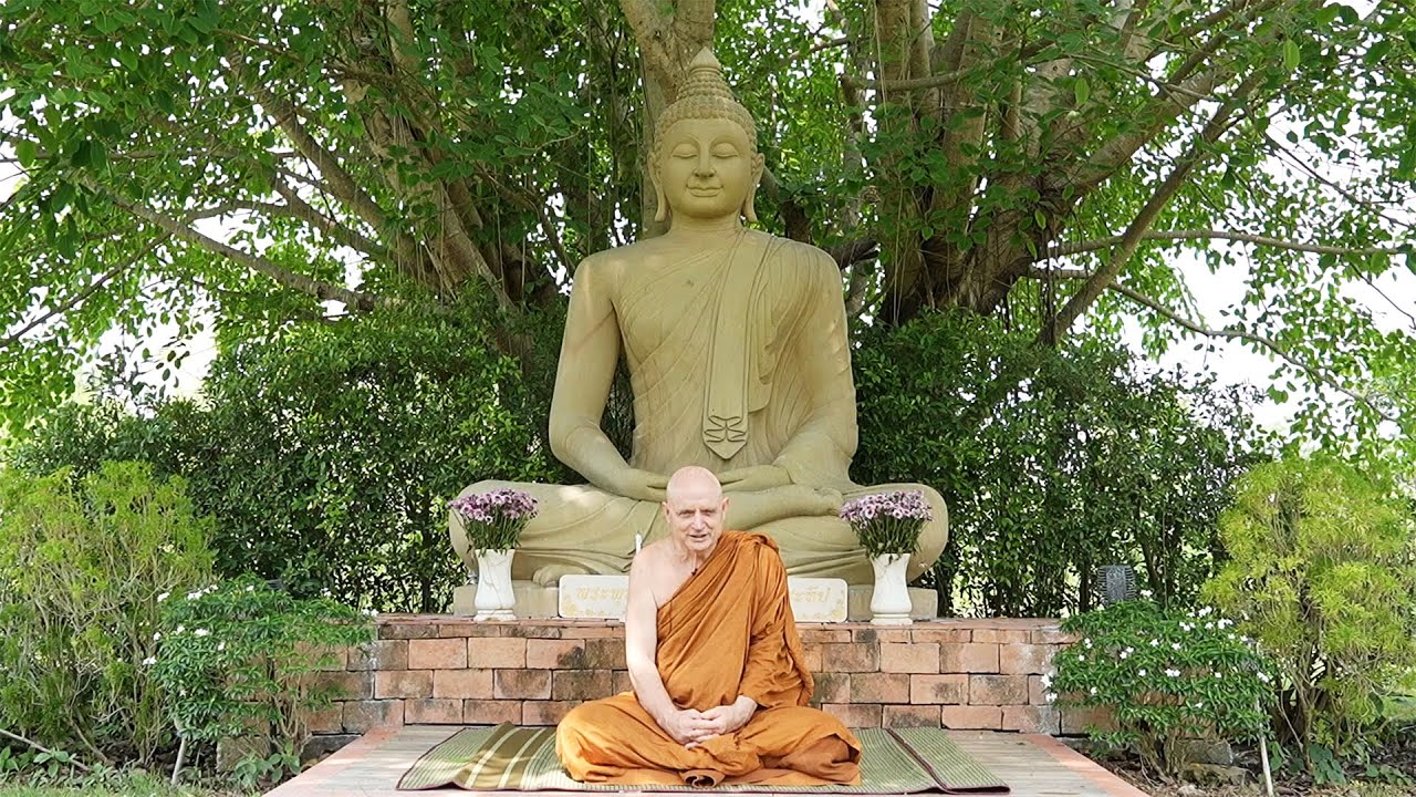 2567.05.22 The Path to Wisdom by Ajahn Jayasaro