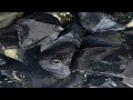 NATURAL SPIDER WEB OBSIDIAN | RAW STONE FROM MEXICO