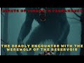 Nights of Terror in Pernambuco: The Deadly Encounter with the Werewolf of the Reservoir