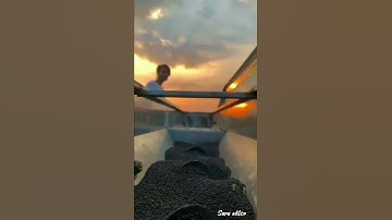 veer Teja ji status / farmer status #veertejajistatus #jaat #farmers #zimidarjatt #desi