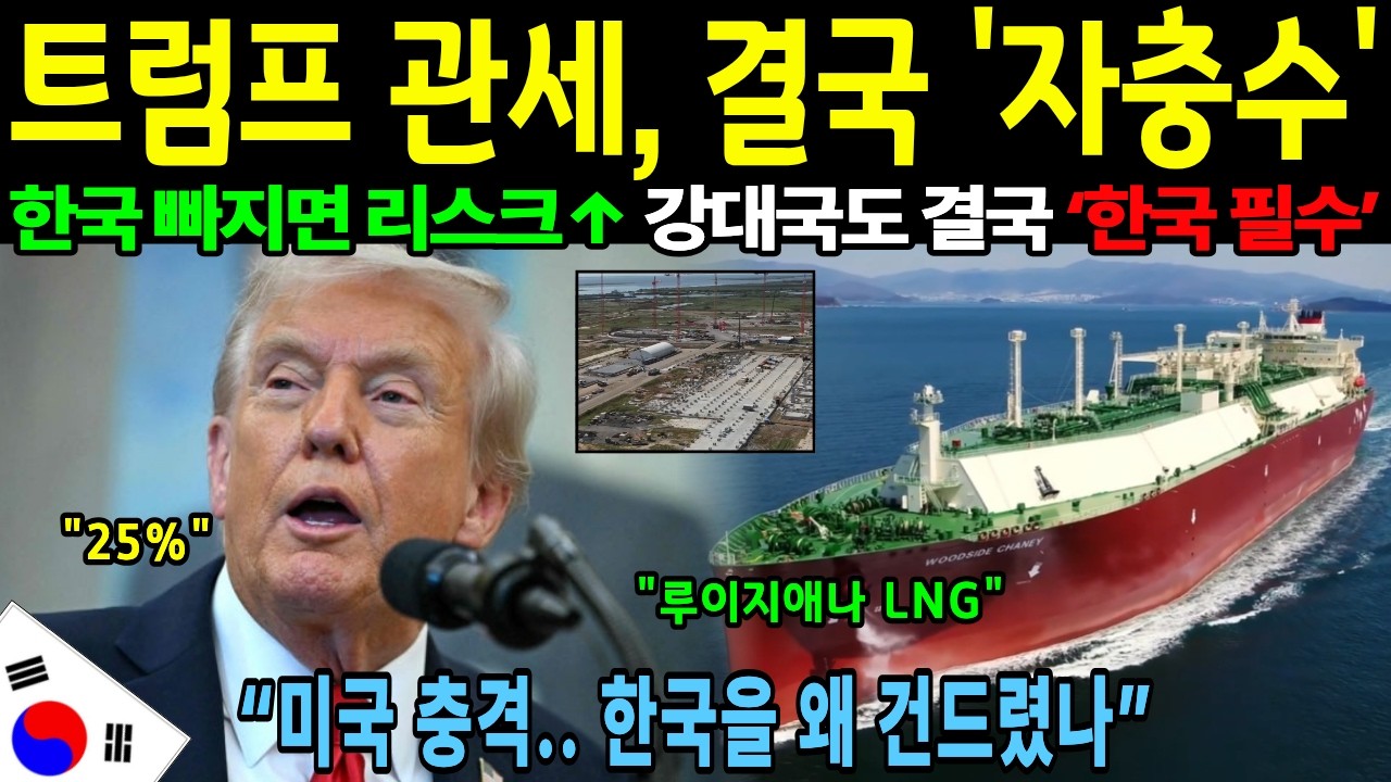 [해외감동사연] “한국을 왜 건드렸나” 관세 뒤에 숨은 진짜 전쟁… 그리고 한국의 한 수