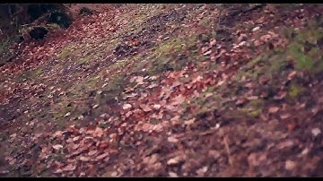 #TDS - WOULD N**** [Music Video]