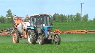 Трактор Мтз 82 С Опрыскивателем Производит Обработку Озимых Зерновых От Сорной Растительности