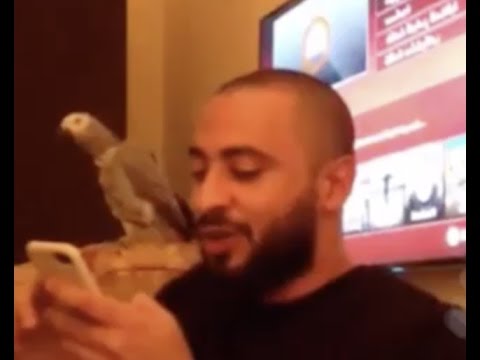 جديد بث عبودي باد انستقرام مقالب قويية 3 21 