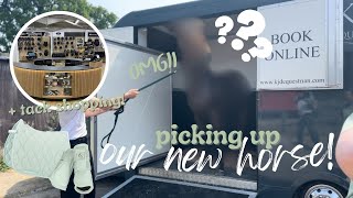 PICKING UP OUR NEW HORSE! + TACK SHOPPING HAUL